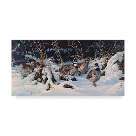 Wilhelm Goebel 'Winter Covey Quail' Canvas Art,24x47